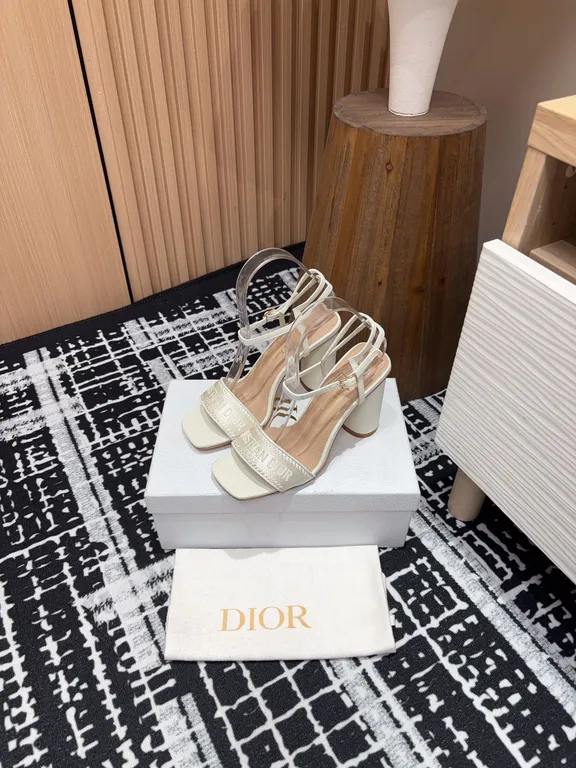 Dior Shoe 